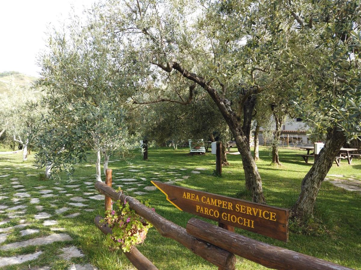 Villa Il Mandorlo Amantea Exterior foto