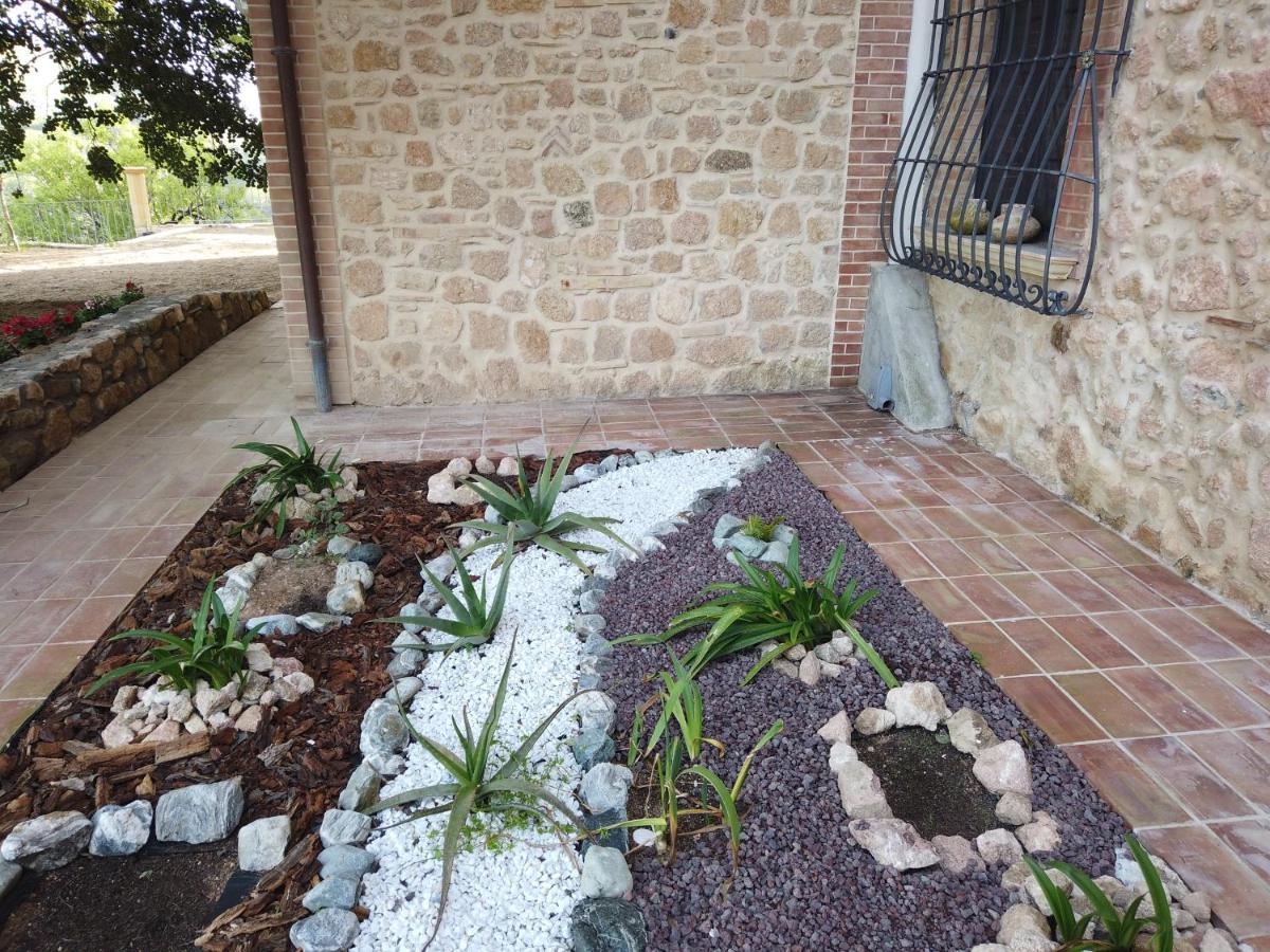 Villa Il Mandorlo Amantea Exterior foto