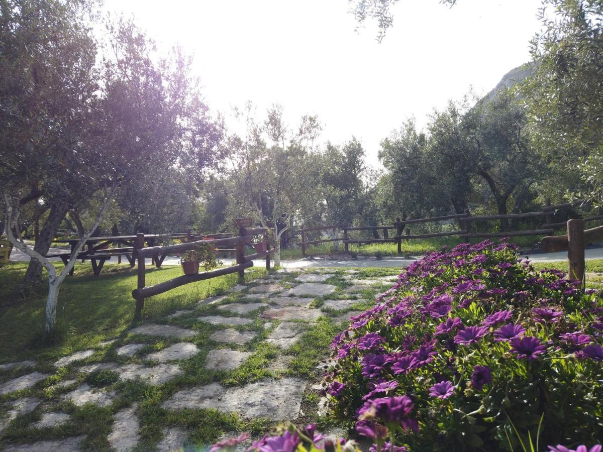 Villa Il Mandorlo Amantea Exterior foto