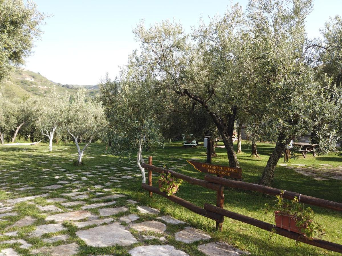 Villa Il Mandorlo Amantea Exterior foto