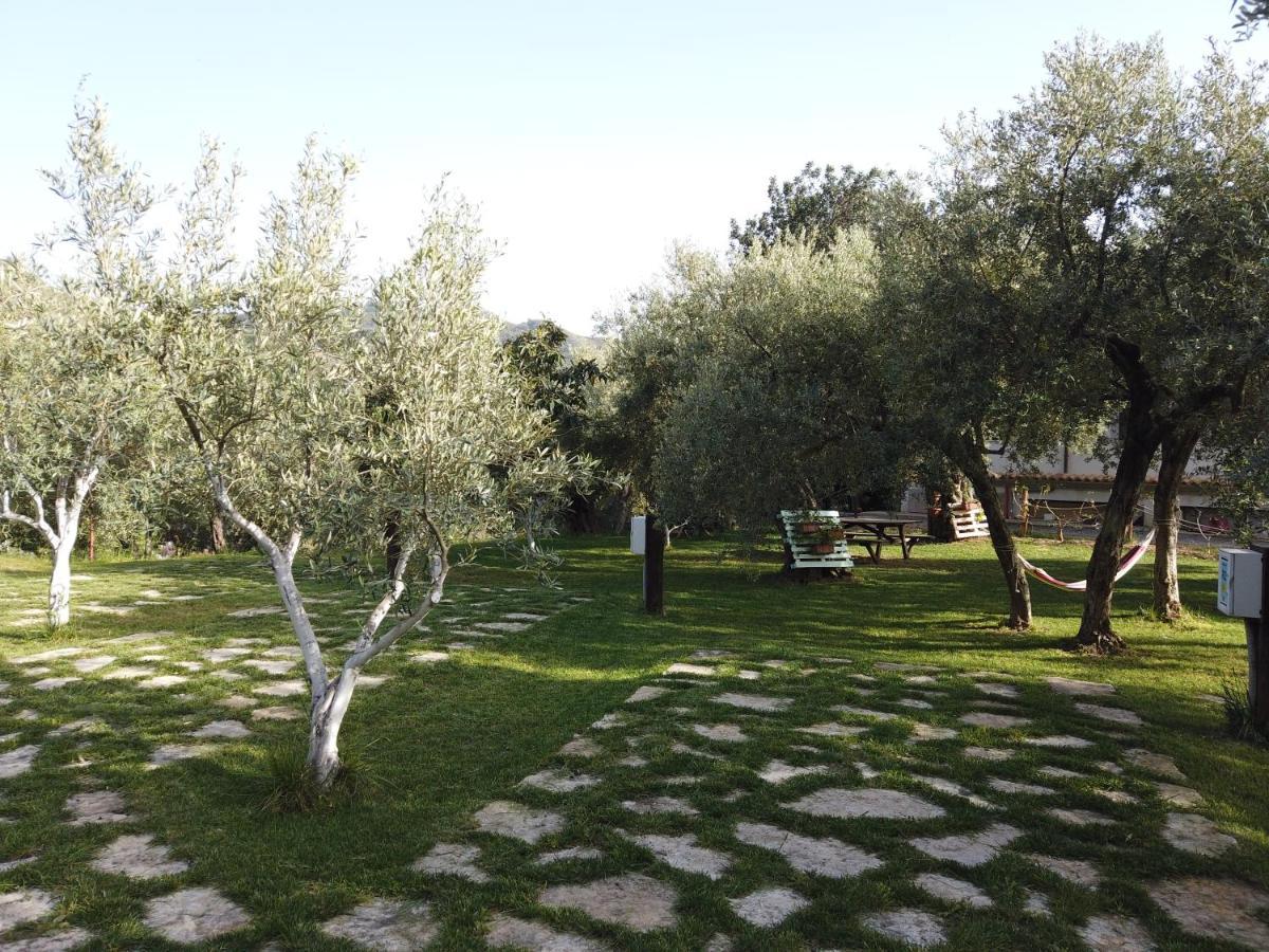 Villa Il Mandorlo Amantea Exterior foto